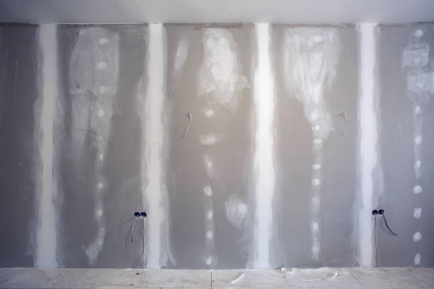 Wallpaper Removal and Painting in Yalaha, FL